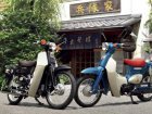 Honda C50 Super Cub